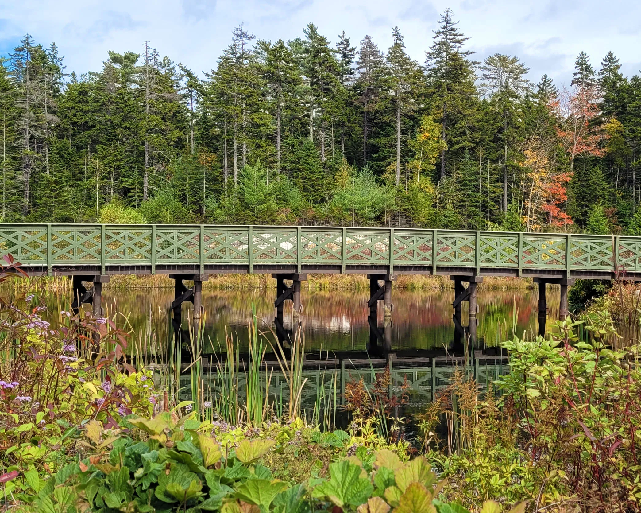 Scenic bridge